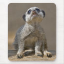 Suche nach säuglinge mousepads Niedlich
