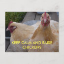 Suche nach huhn postkarten Gelb