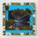 Suche nach koala wanduhren Australie