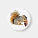 Suche nach eichel magnete Eichhörnchen