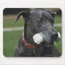 Suche nach deutsche dogge mousepads Great dane