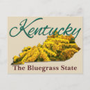 Suche nach bluegrass postkarten Der bluegrass staat