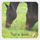 Suche nach weide aufkleber Tier