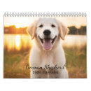 Suche nach lustige hunde kalender Für hunde liebhaber
