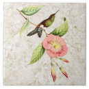 Suche nach rebe fliesen Vogel