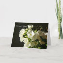 Suche nach phlox karten Vielen dank