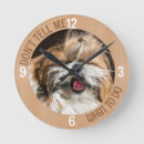 Suche nach shih tzu wanduhren Hund