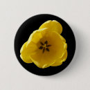 Suche nach tulpen buttons Gelb
