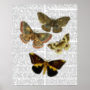 Suche nach moth poster Schmetterling