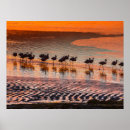 Suche nach reserve poster Strand