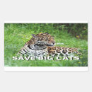 Suche nach jaguar aufkleber Panthera onca