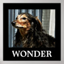 Suche nach wunder poster Motivierend