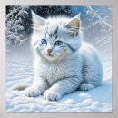 Suche nach katze im schnee poster Niedlich