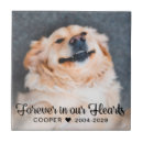 Suche nach beileid fotoplatten Forever in our hearts