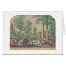 Suche nach mammutbaum postkarten Bancroft