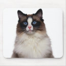 Suche nach ragdoll katze mousepads Tier