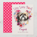 Suche nach lhasa apso Hunderasse