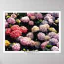 Suche nach schneebälle poster Natur