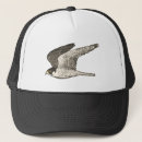 Suche nach vögel kappen Natur