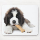 Suche nach bernhardiner mousepads Tiere