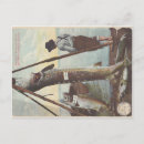 Suche nach coho poster Chinook