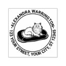 Suche nach langhaarige katze Kätzchen