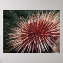 Suche nach riesiger poster Rot