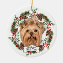 Suche nach shih tzu ornamente Verzierung