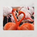 Suche nach flamingo liebe postkarten Valentin