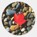 Suche nach ahornblatt aufkleber Herbst