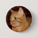 Suche nach roter kopf buttons Ingwer