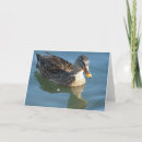 Suche nach enten karten See