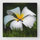 Suche nach frangipani wanduhren Blume