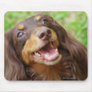 Suche nach dackelhund mousepads Vertikal