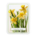 Suche nach der frühling magnete Für sie