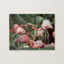Suche nach flamingos puzzle Familie