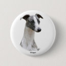 Suche nach whippets buttons Haustier