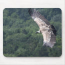 Suche nach greif mousepads Griffin