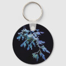 Suche nach seedrache accessoires Fische