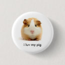 Suche nach meerschweinchen buttons Nagetier