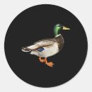 Suche nach drake aufkleber Jagd
