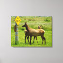 Suche nach wildlife leinwandbilder Fotografie