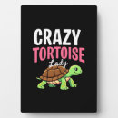 Suche nach schildkröten fotoplatten Meeresschildkröte