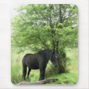 Suche nach schwarze pferde mousepads Stute