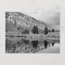 Suche nach reflexionen postkarten Fotografie