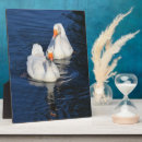Suche nach gänse fotoplatten Vogelvogel