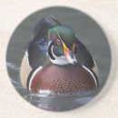 Suche nach wood untersetzer Vogelvogel