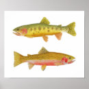 Suche nach trout poster Salmon