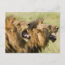 Suche nach wut postkarten Natur