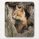 Suche nach wildtiere mousepads Wilde tiere
